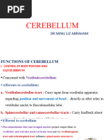 Cerebellum 3