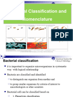 1.2-Classification of Bacteria