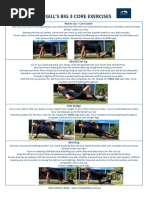 McGill Big 3 Core Exercises