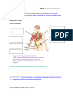 Excretion Worksheet