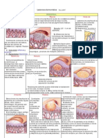 Lesiones Elementales