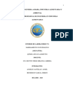 Informe N°2 Laboratorio Química de Alimentos