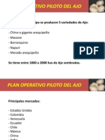 Plan Operativo Piloto Del Ajo