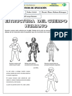 Semana 7 Ficha Ciencia 17-04-2024