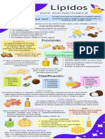 Infografia Lipidos