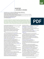 Mesenchymal Stem Cells Revisiting History, Concepts, and Assays