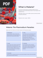 Kylie Malaria Report Final 2