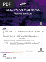 Organizadores Gráficos