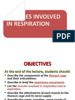 1 - Muscles Involved in Respiration