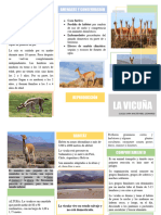 Triptico Vicuña (1) (Recuperado Automáticamente)