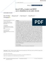 Shin Et Al., 2019 - Hippocampal Activation of 5 HT1B Receptors and BDNF Production by Vagus Nerve - Eur J of Neuroscience