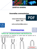 Anomalias Cromosomicas