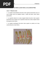 3 - Siete Llaves para La Oclusión Óptima MODIFICADO 2016 PDF