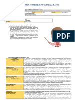 Planificación Curricular Inicial 5 Años