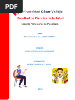 Trastorno Por Déficit de Atención Con Hiperactividad