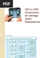 UD 4 (1) (3) Ñiug