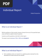 Individual Report