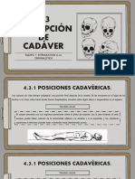 Descripción DE Cadáver: Equipo 1. Introducción A La Criminalística