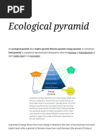 Ecological Pyramid - Wikipedia