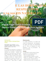 Plagas en Hortalizas - Miguel Angel Garcia G