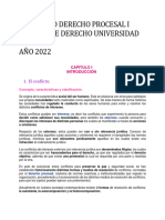 Apuntes Derecho Procesal I