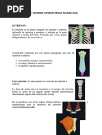 Repaso Anatomia Examen Final