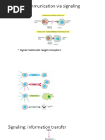 Cell Signaling