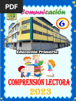 Iiib Comprensión