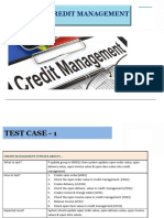 Credit Management Test Case Practice