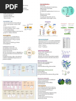 Biología Cel-Mol