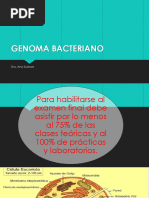 10 Genoma Bacteriano