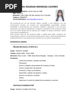 Financista Diana Mendoza Caceres CV