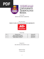 MKT 646 - Product Life Cycle Strategy For Marrybrown