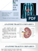 Referat Radiografi Kontras Traktus Urinarius.