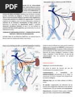 CIRROSIS