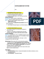 Conditions of The Integumentary System 2