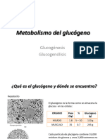 Metabolismo Del Glucógeno