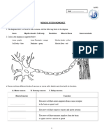 Nervous - System 2