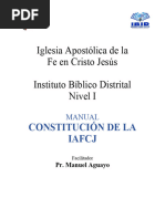 IBID Nivel I - 02.constitución de La IAFCJ (Manual)