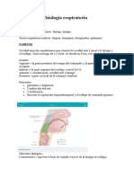 Anatomía Respiratoria X Miguel Angulo