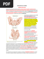 Ultimos Temas Del Intensivo de Ortopedia