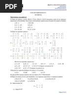 Guia Ejercicios 2 AyGA 2024 MATRICES