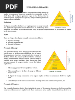 Ecological Pyramid Grade 8