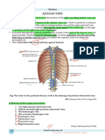 Anatomy 1 (Thorax)