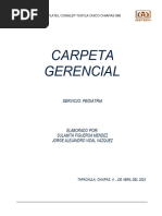 Carpeta Gerencial Pedia