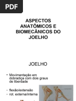 Articulação Do Joelho Aula