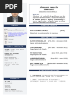 Curriculum Vitae GJC