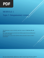 Topic 3. Integumentary System-1