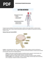 Neuroanatomofisiologia Resumo