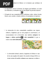 La Diversidad Cultural y La Riqueza Lingüística